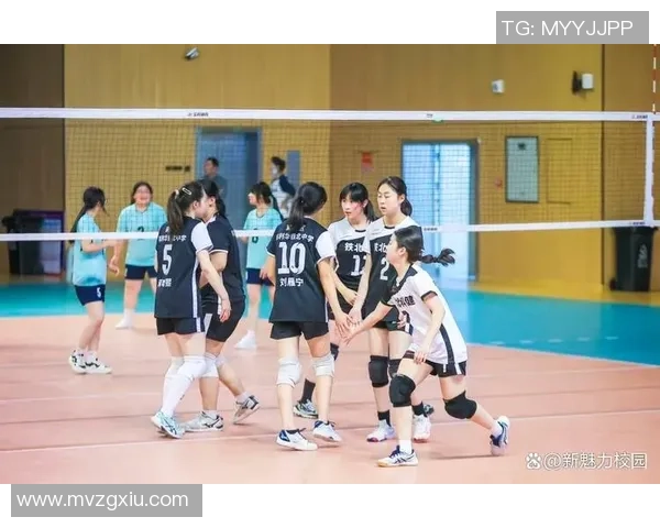 南京排球队的训练与比赛状态全景揭秘助力排球巨献的背后故事